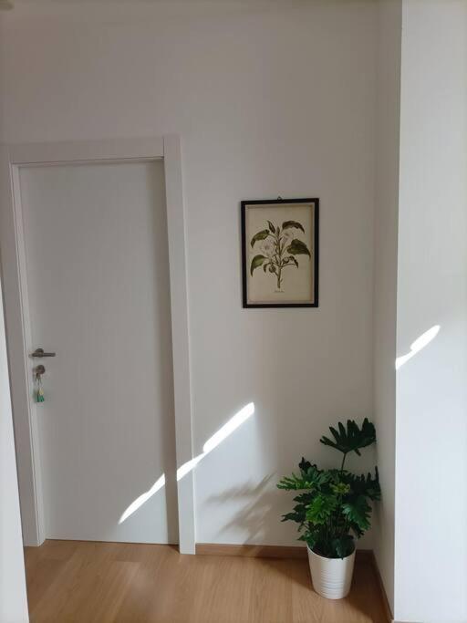 Loving My Rooms 1 - Deliziosa Mansarda In Centro Gorizia Exterior foto